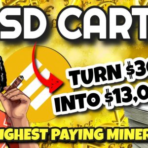 BUSD Cartel Review (HIGHEST PAYING MINER!!) | 20% Daily ROI With BUSD Cartel Miner! LAUNCHING TODAY!