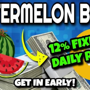 Watermelon BUSD Review (LAUNCHING TODAY!! 12% DAILY ROI!!) | Get In Early On Watermelon BUSD Miner!