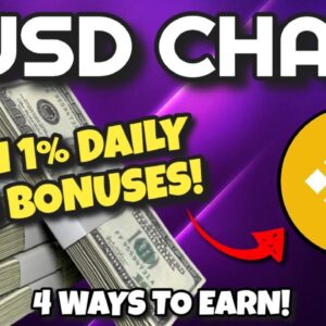 BUSD CHAIN Review (EARN 1% DAILY + BONUSES!!) | 4 Ways To Earn Passive Income With BUSDChain!!