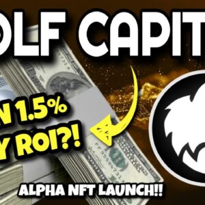 WOLF CAPITAL Huge Updates!! (MOST LEGIT PROJECT IN DEFI??) | Alpha NFT Launch From Wolf Capital!!
