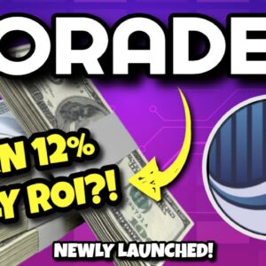 PORADEX Review (INSANE 12% DAILY ROI FOR 10 DAYS?!) | HIGH RISK PROJECT!! PoraDex Just Launched!!