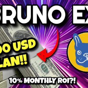 BrunoEx HUGE LAUNCH!! ($1000 USD Plan - 10% Monthly ROI?!) | Stable Passive Income!! Bruno Ex Crypto