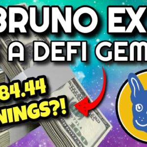 BRUNOEX Results Update!! ($1584.44 Earnings And STILL Growing?!) | BrunoEx Is A DEFI GEM!!